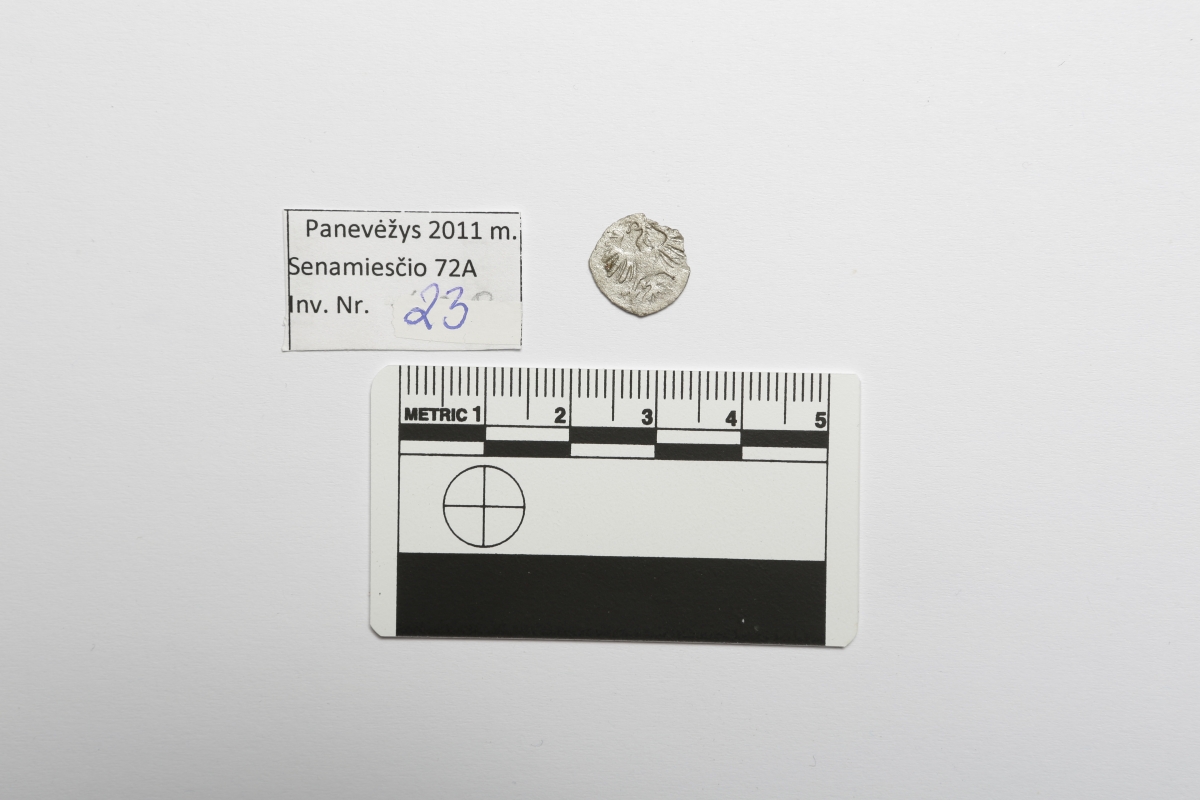 LDK. Žygimantas Augustas. Denaras. 1556 m. Sidabras. Ø 12 mm, Panevėžys, Perkasa Nr. 1, Kapas Nr. 4