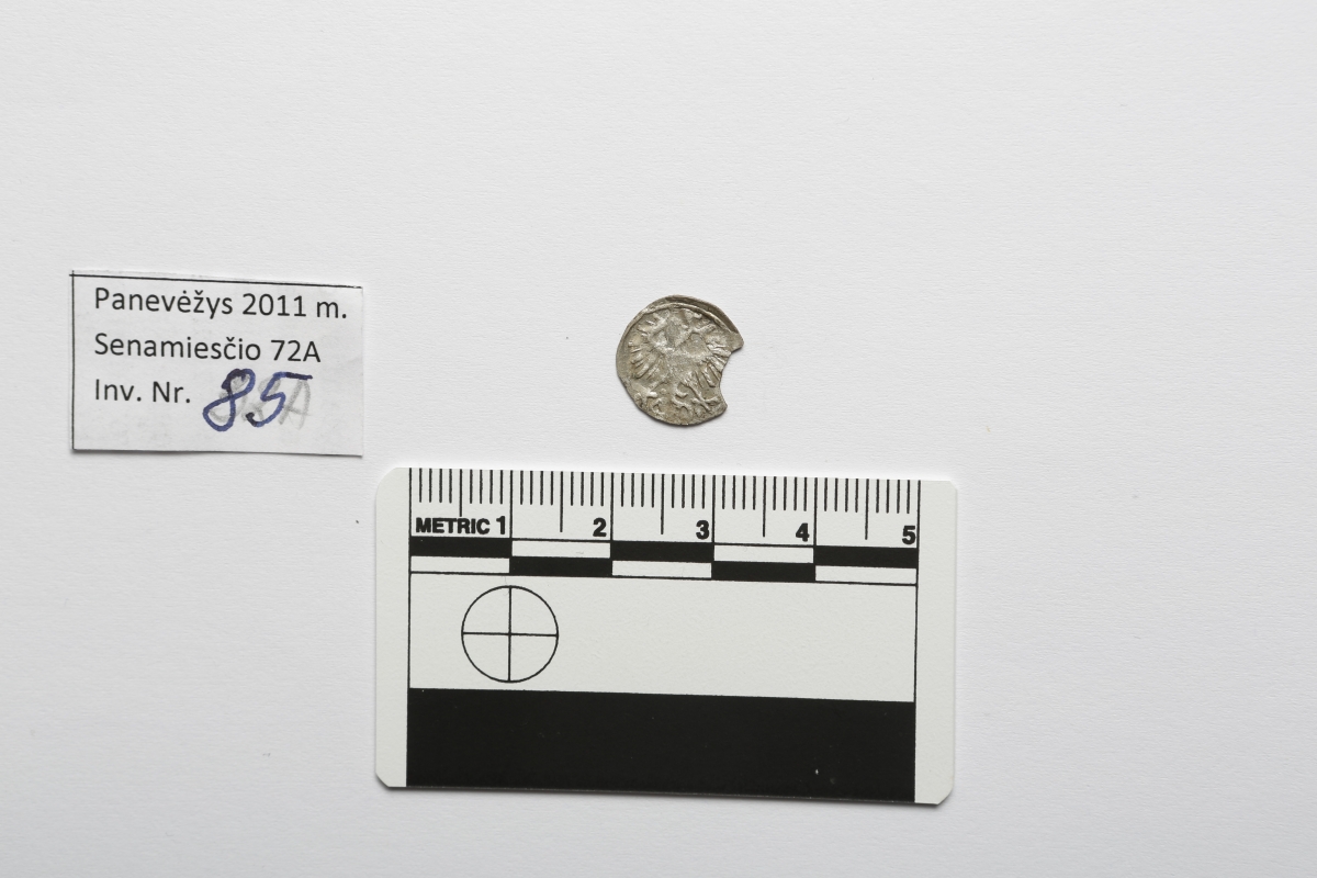LDK. Žygimantas Augustas. Denaras. 1556 m. Sidabras. Ø 11 mm, Panevėžys, Perkasa Nr. 1, Kapas Nr. 45